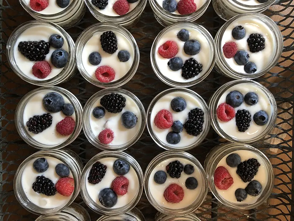 Yogurt with berries, plated