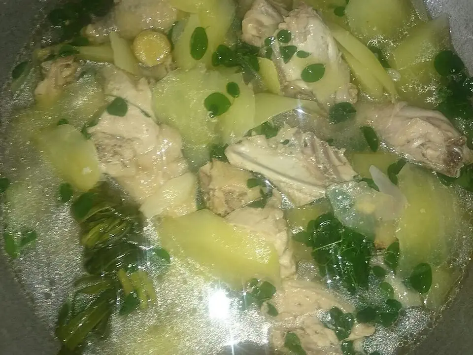 Tinolang manok, plated